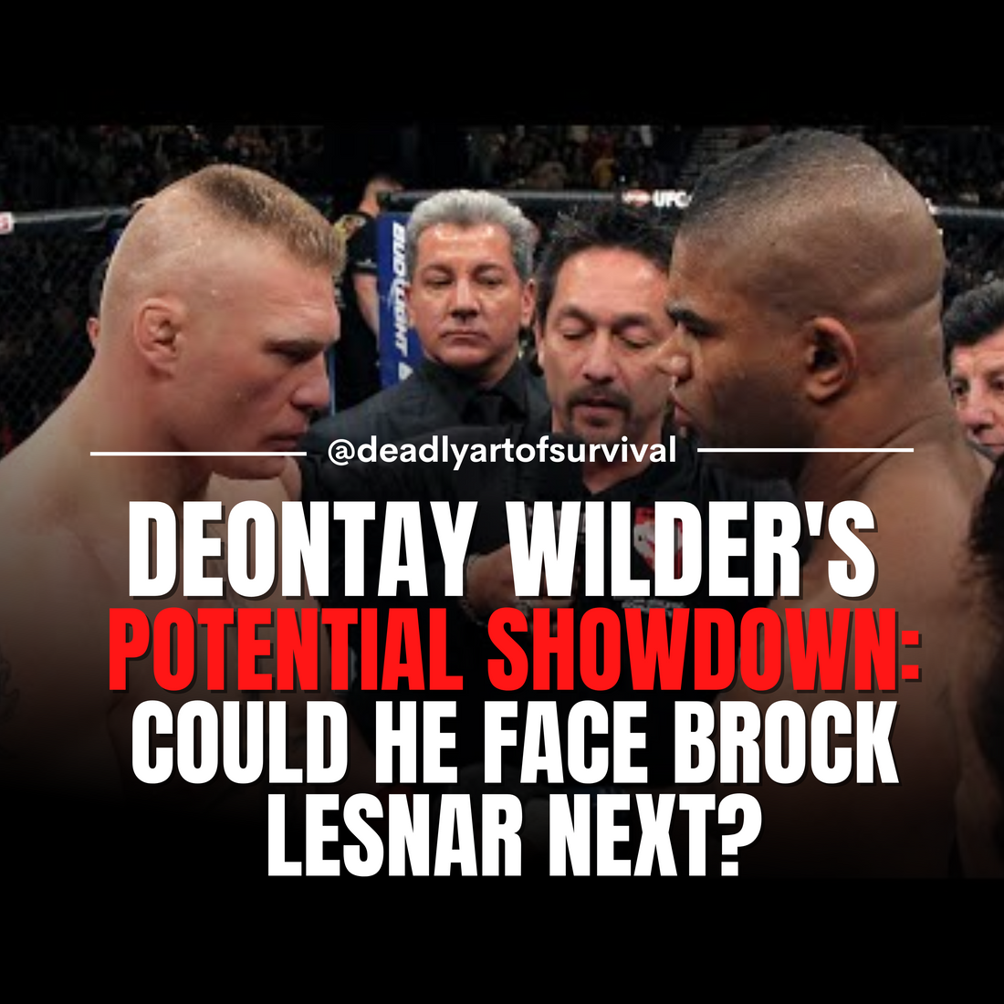 Deontay Wilder's Next Opponent Could Be WWE Star Brock Lesnar