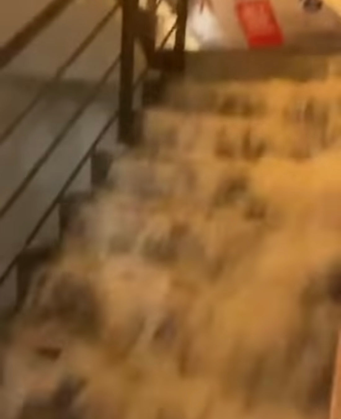 UFC’s ‘The Korean Zombie’ featherweight contender Chan Sung Jung shares shocking video of his gym being hit with record flood in Seoul, South Korea
