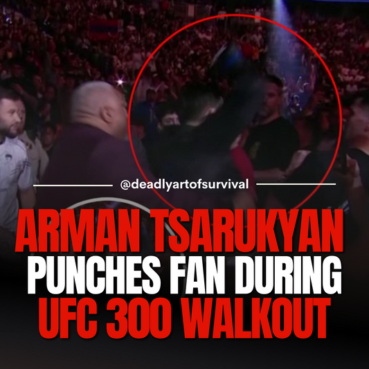Arman-Tsarukyan-Involved-in-Altercation-with-Fan-During-UFC-300-Walkout deadlyartofsurvival.com