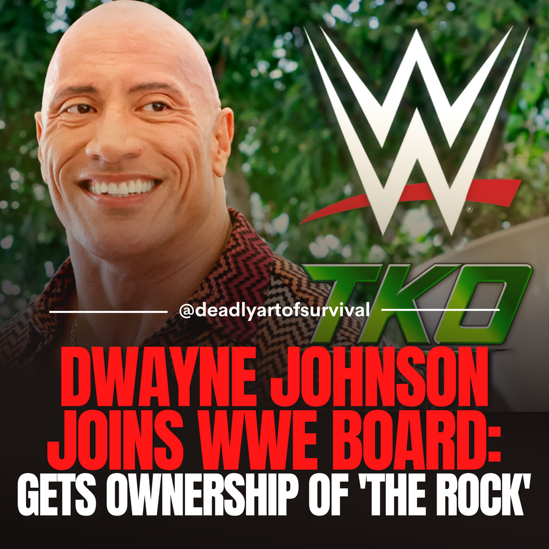 Dwayne Johnson Joins WWE Board, Secures Ownership of Iconic 'The Rock